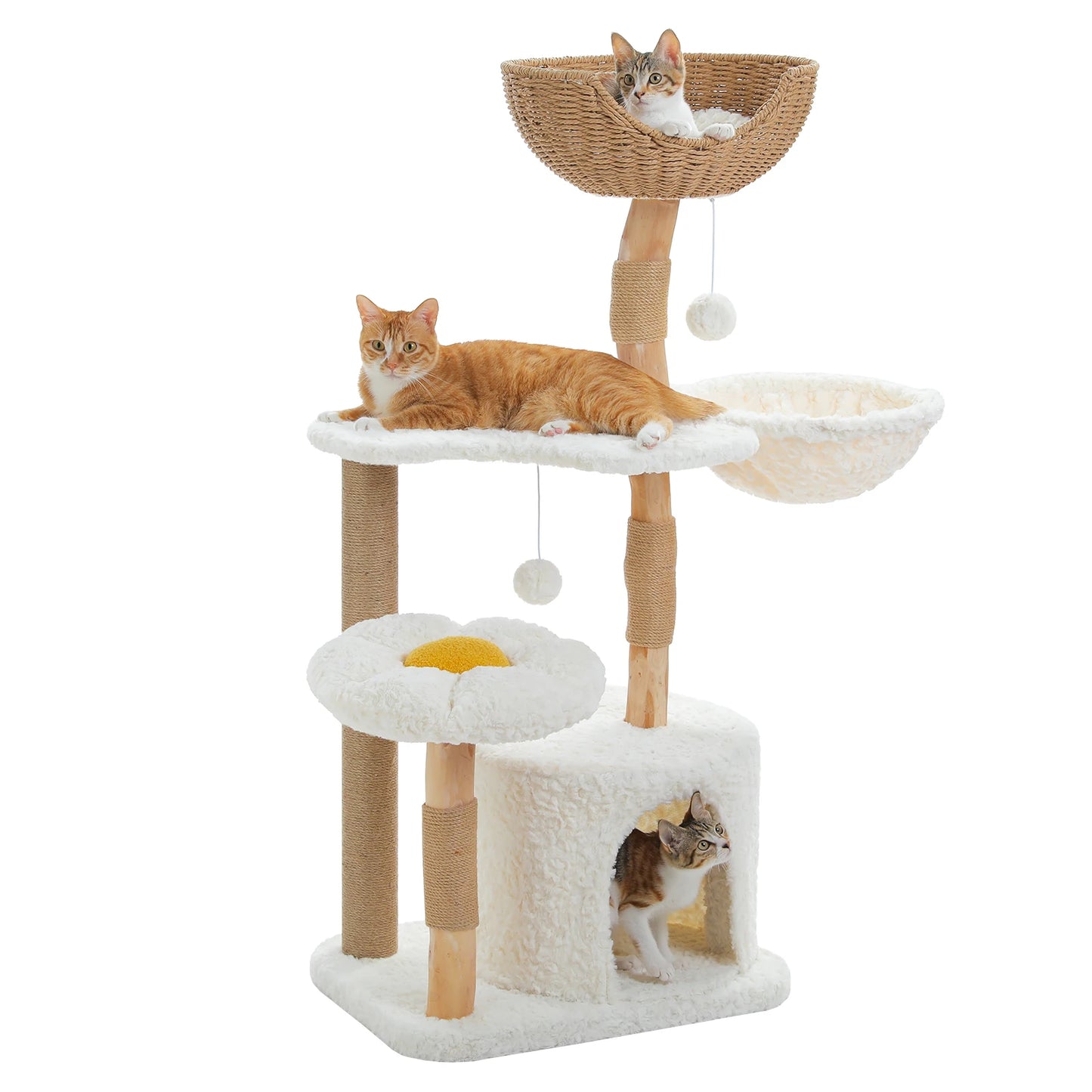 Arbre à Chat de Luxe en Bois Massif – Design Élégant, Confort Suprême et Stabilité Inégalée | All For Pe