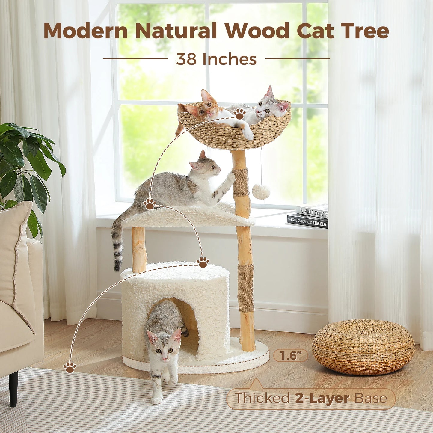 Arbre à Chat de Luxe en Bois Massif – Design Élégant, Confort Suprême et Stabilité Inégalée | All For Pe