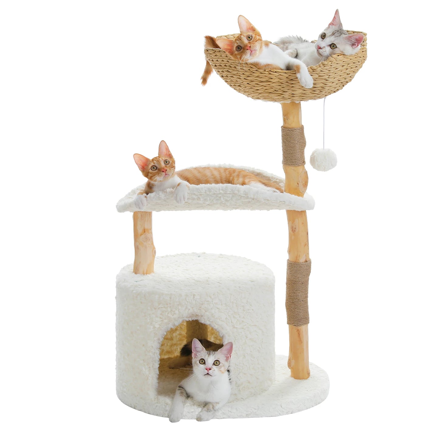 Arbre à Chat de Luxe en Bois Massif – Design Élégant, Confort Suprême et Stabilité Inégalée | All For Pe