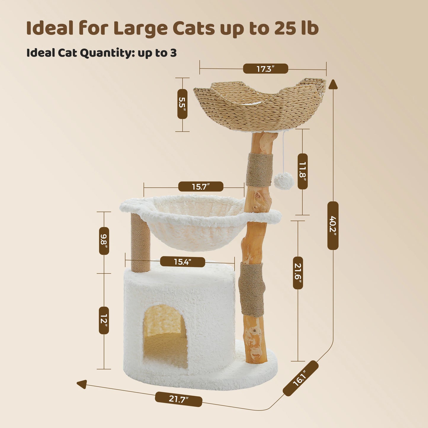 Arbre à Chat de Luxe en Bois Massif – Design Élégant, Confort Suprême et Stabilité Inégalée | All For Pe