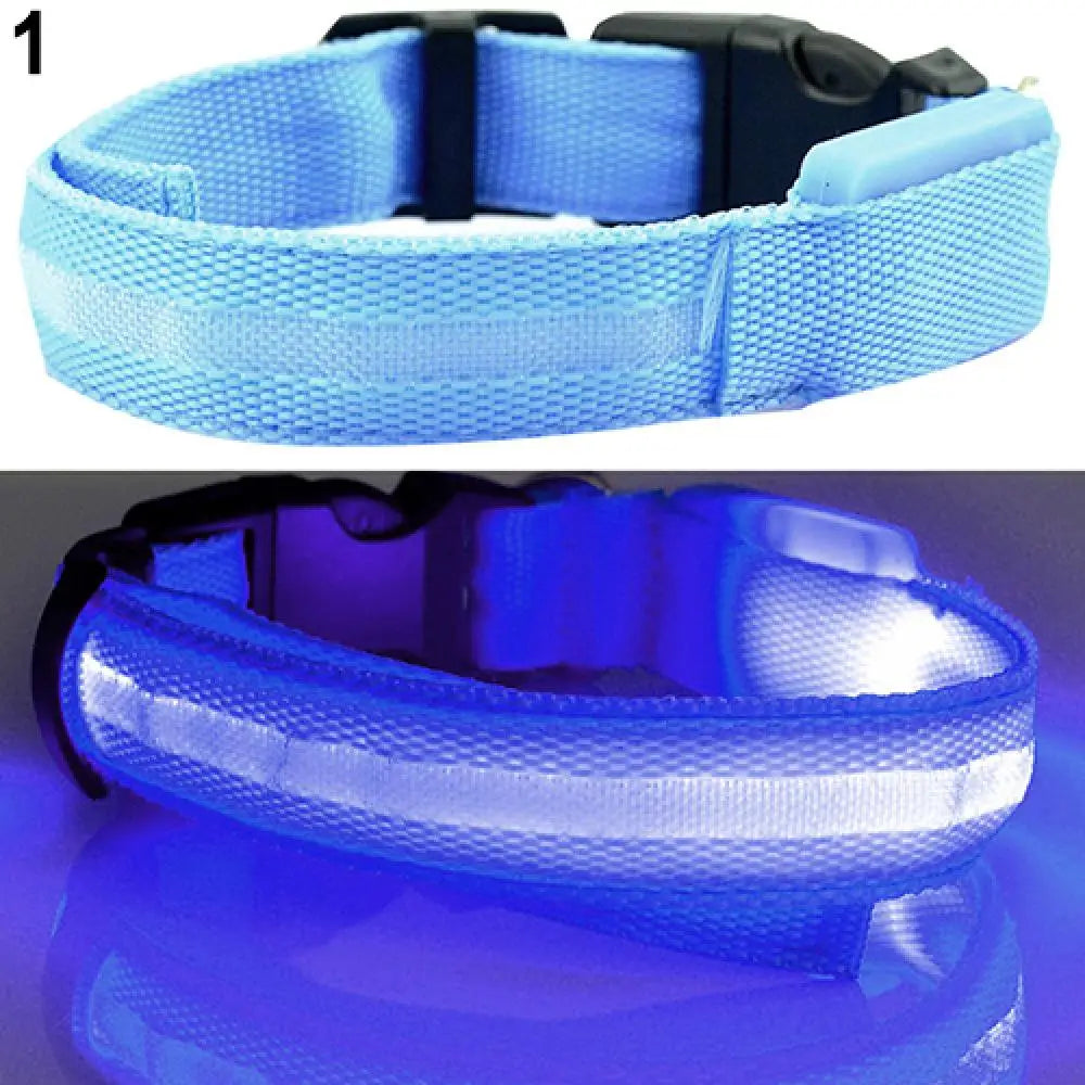 Collier Lumineux LED pour Chien et Chat – Sécurité Nocturne Réglable – 3 Modes de Flash – Étanche – Tailles S, M, L – Plusieurs Couleurs