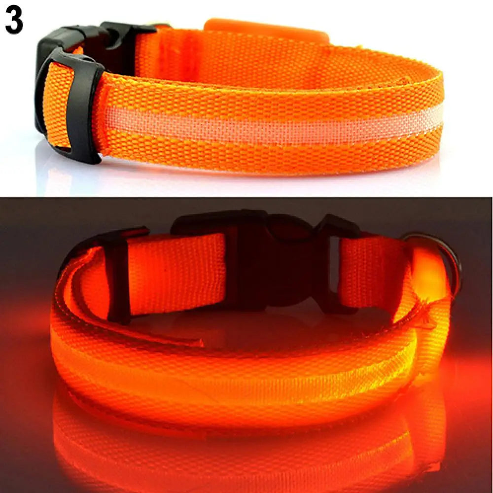 Collier Lumineux LED pour Chien et Chat – Sécurité Nocturne Réglable – 3 Modes de Flash – Étanche – Tailles S, M, L – Plusieurs Couleurs