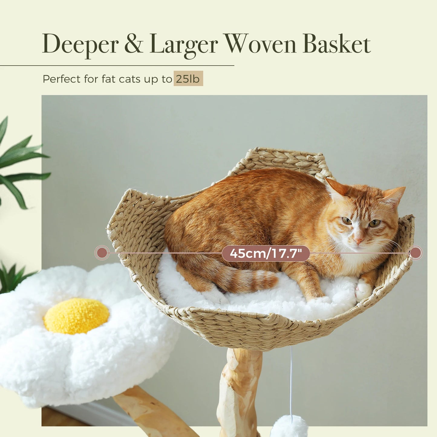 Arbre à Chat de Luxe en Bois Massif – Design Élégant, Confort Suprême et Stabilité Inégalée | All For Pe