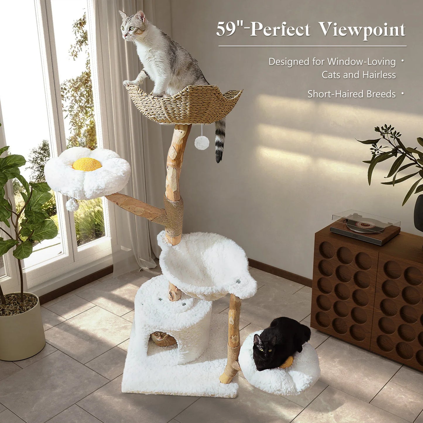 Arbre à Chat de Luxe en Bois Massif – Design Élégant, Confort Suprême et Stabilité Inégalée | All For Pe