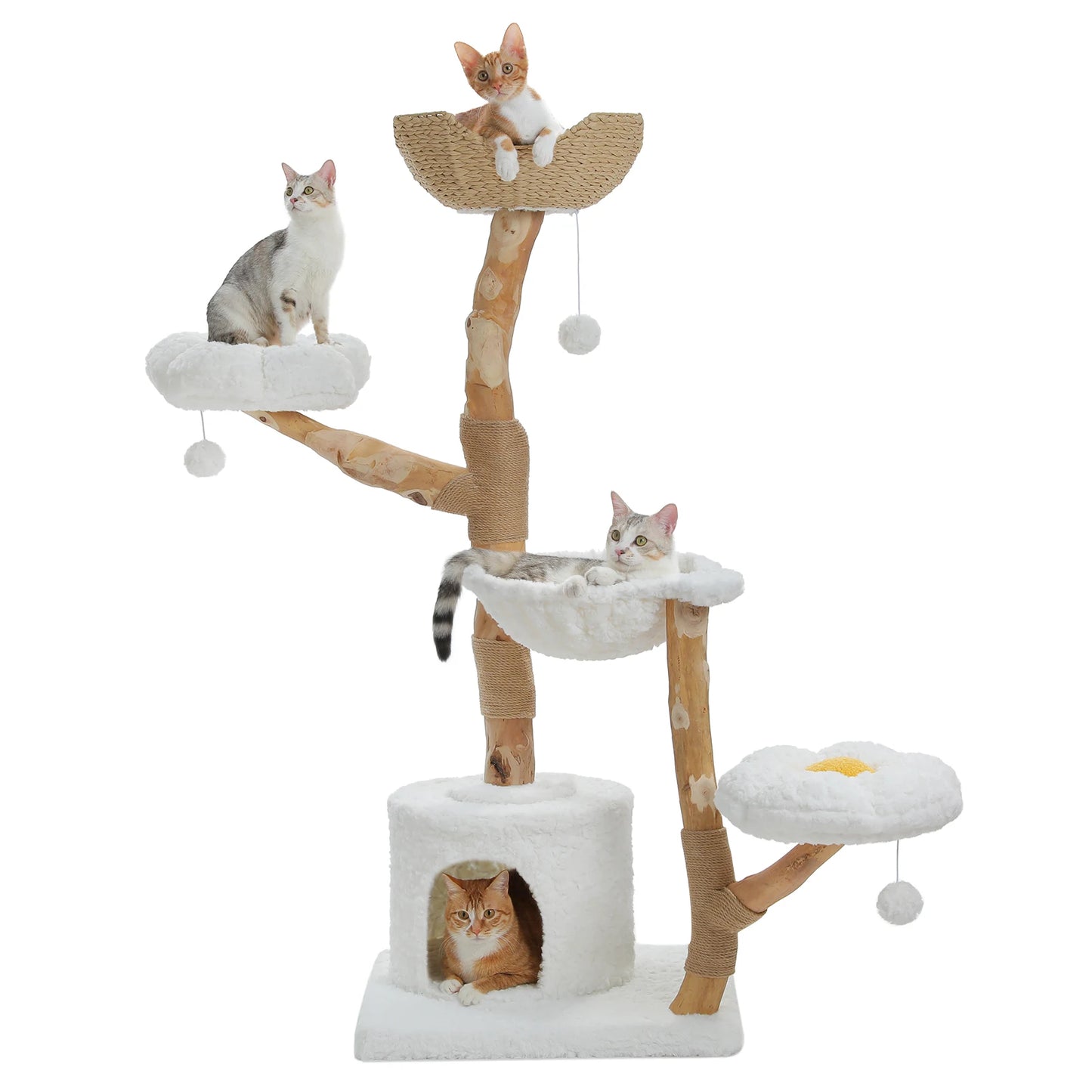 Arbre à Chat de Luxe en Bois Massif – Design Élégant, Confort Suprême et Stabilité Inégalée | All For Pe