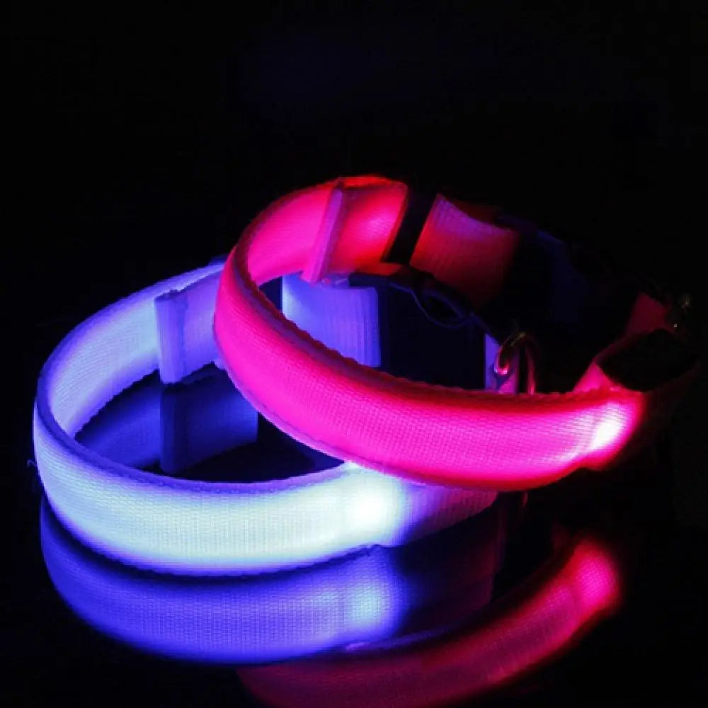 Collier Lumineux LED pour Chien et Chat – Sécurité Nocturne Réglable – 3 Modes de Flash – Étanche – Tailles S, M, L – Plusieurs Couleurs