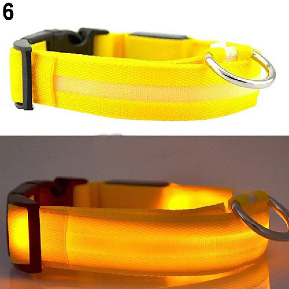 Collier Lumineux LED pour Chien et Chat – Sécurité Nocturne Réglable – 3 Modes de Flash – Étanche – Tailles S, M, L – Plusieurs Couleurs
