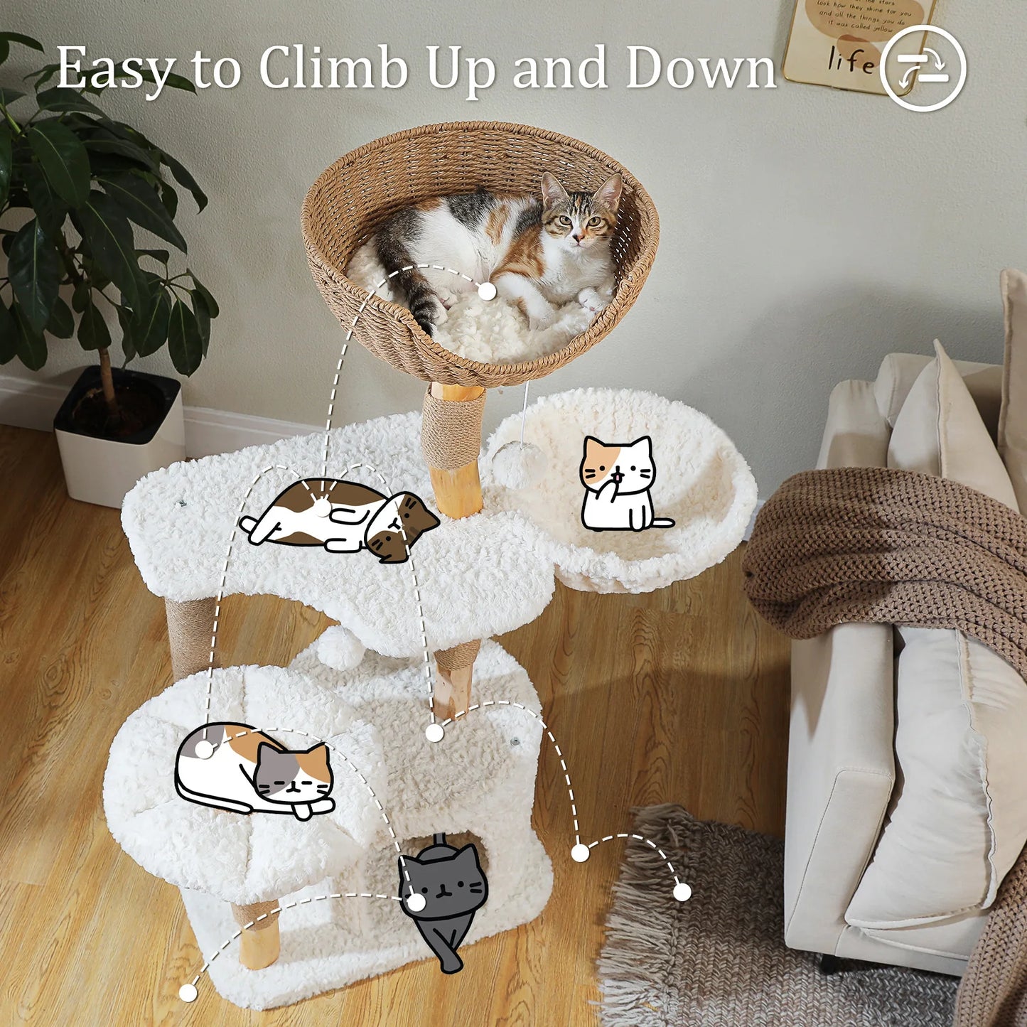 Arbre à Chat de Luxe en Bois Massif – Design Élégant, Confort Suprême et Stabilité Inégalée | All For Pe