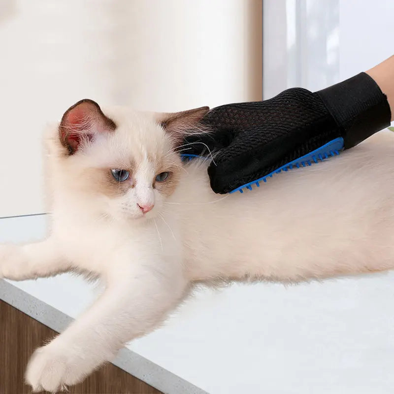 Gant de Toilettage en Silicone pour Chats et Chiens – Brosse de Massage Anti-Poils