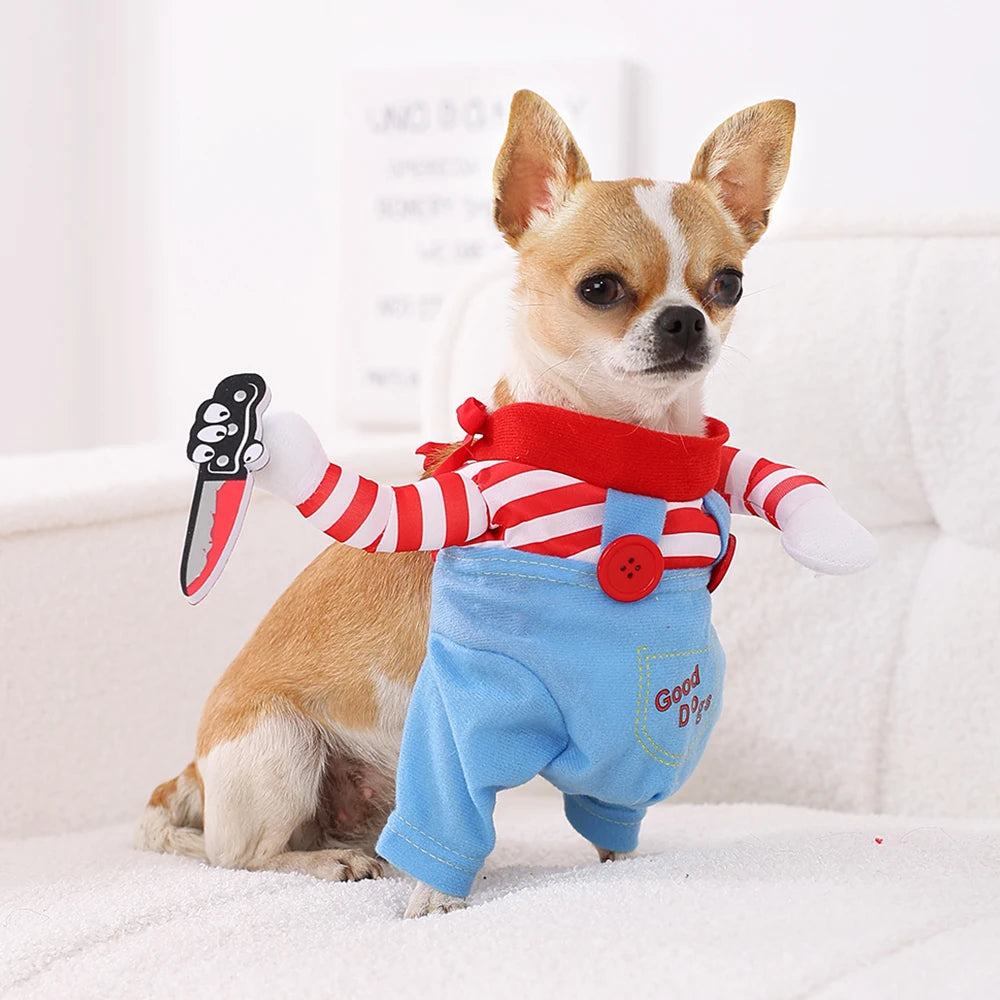Le costume d’Halloween le plus drôle et irrésistible pour votre chien ou chat est arrivé !