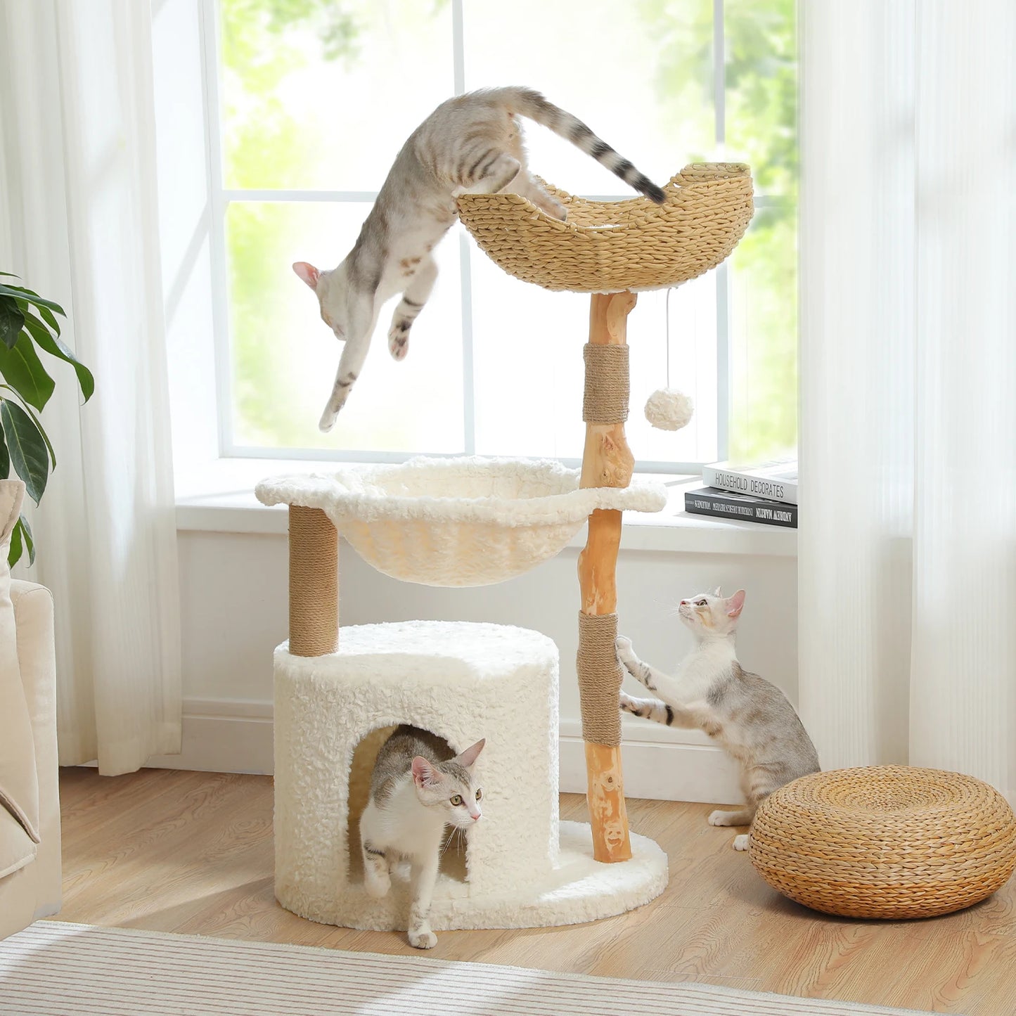 Arbre à Chat de Luxe en Bois Massif – Design Élégant, Confort Suprême et Stabilité Inégalée | All For Pe