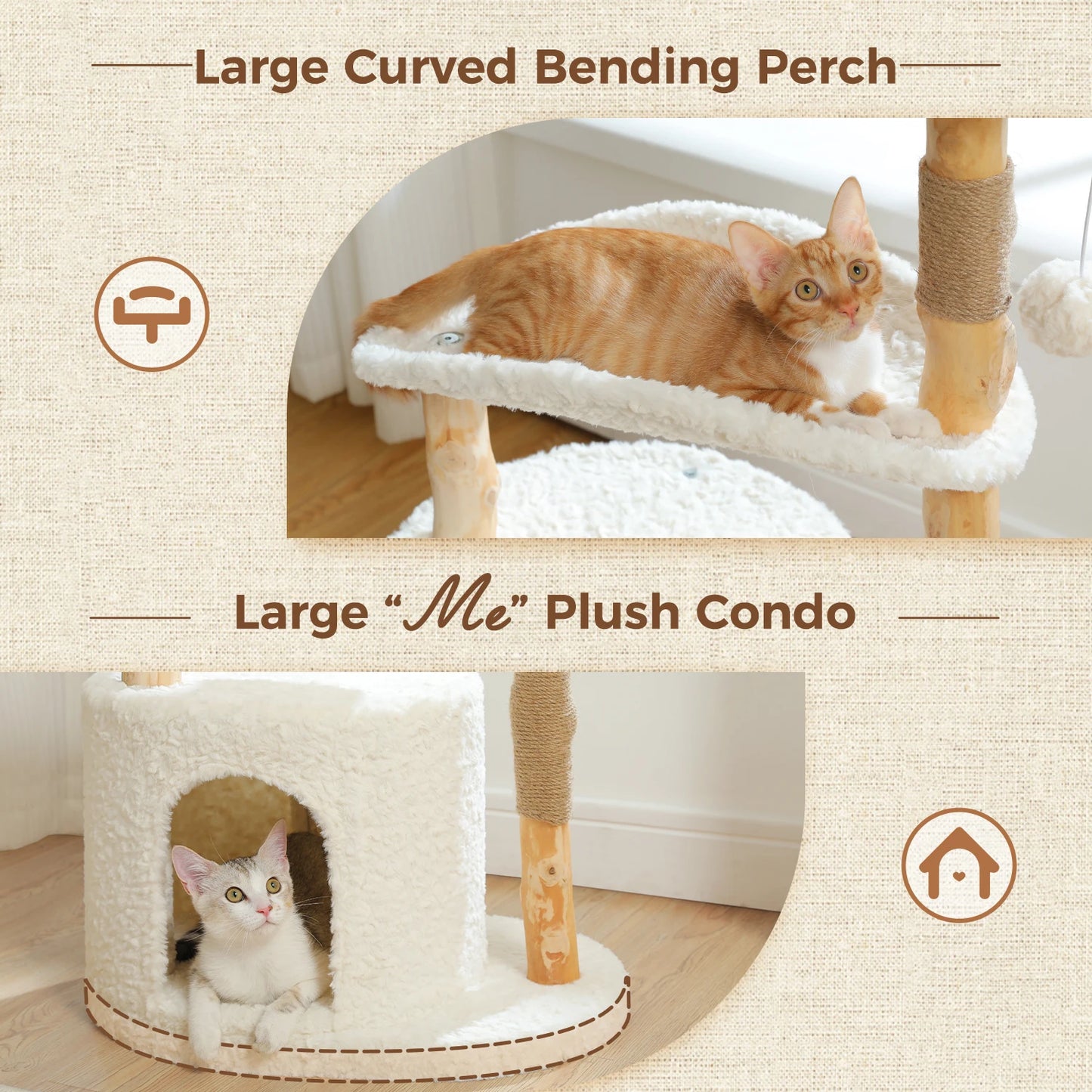 Arbre à Chat de Luxe en Bois Massif – Design Élégant, Confort Suprême et Stabilité Inégalée | All For Pe