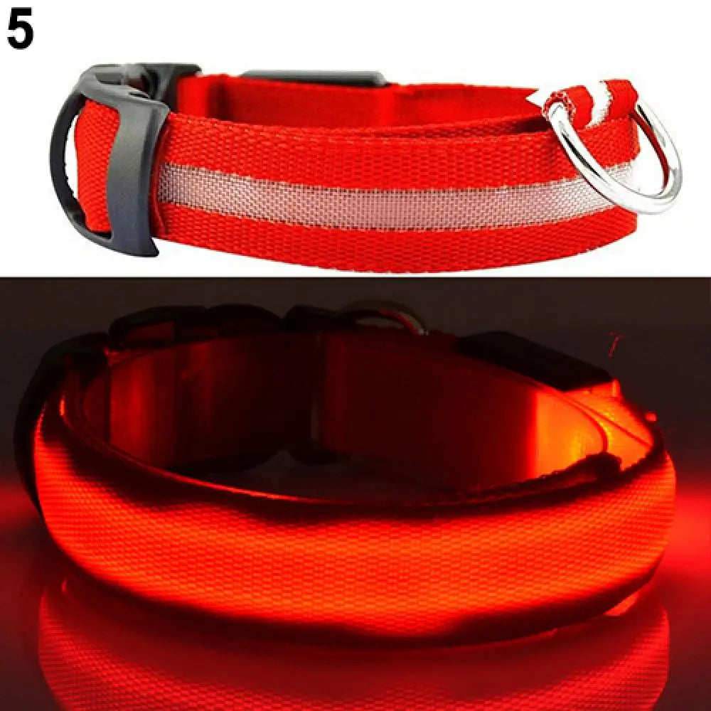 Collier Lumineux LED pour Chien et Chat – Sécurité Nocturne Réglable – 3 Modes de Flash – Étanche – Tailles S, M, L – Plusieurs Couleurs