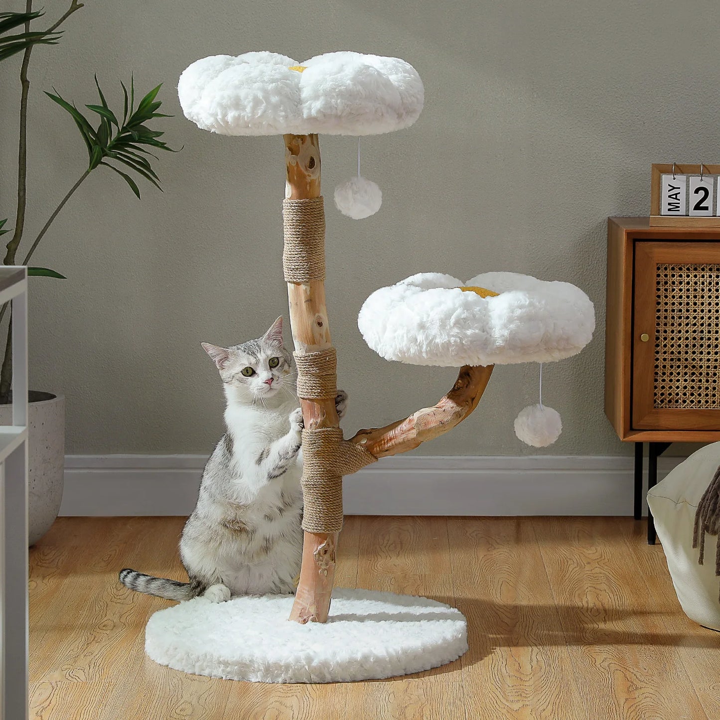 Arbre à Chat de Luxe en Bois Massif – Design Élégant, Confort Suprême et Stabilité Inégalée | All For Pe