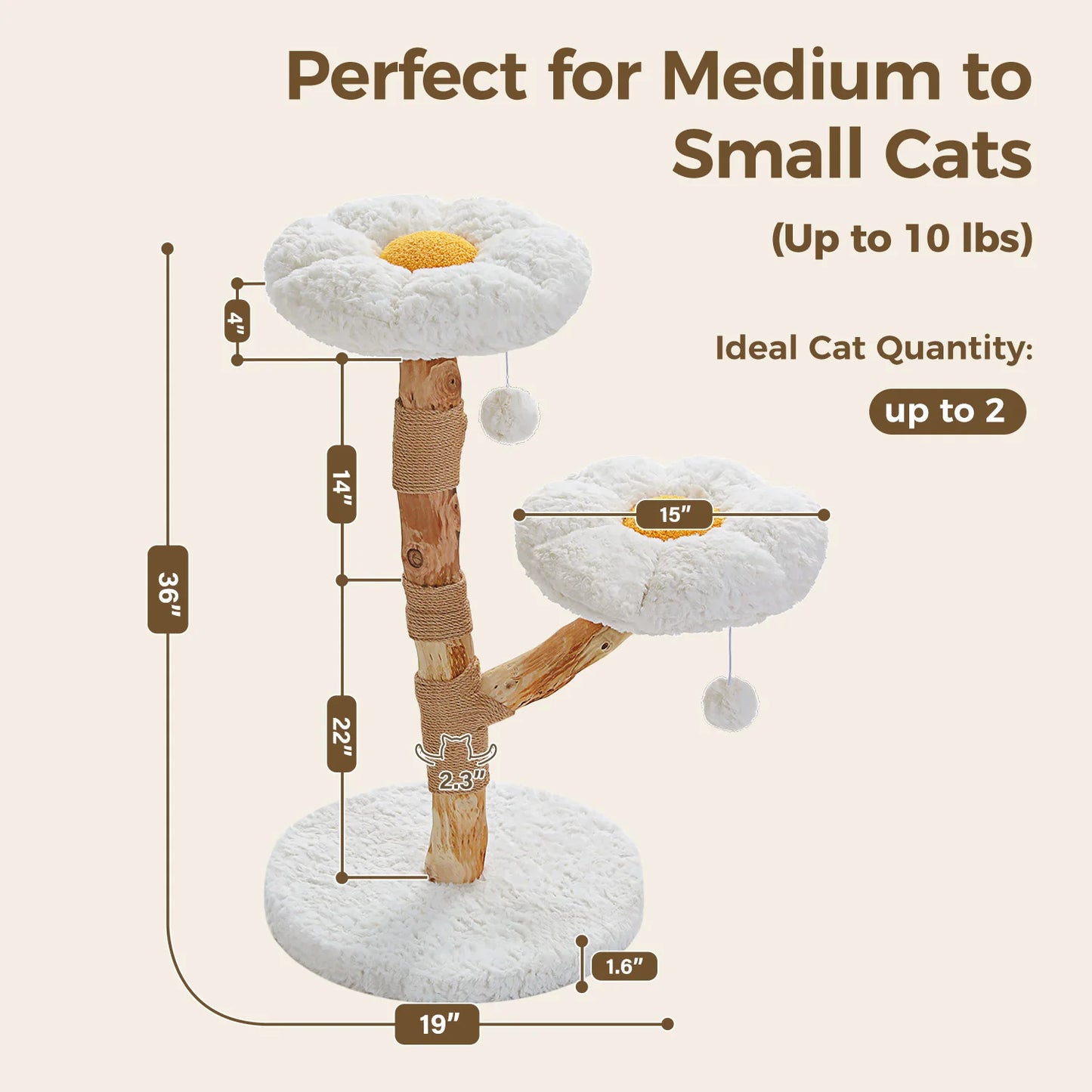 Arbre à Chat de Luxe en Bois Massif – Design Élégant, Confort Suprême et Stabilité Inégalée | All For Pe