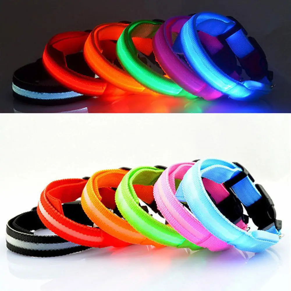 Collier Lumineux LED pour Chien et Chat – Sécurité Nocturne Réglable – 3 Modes de Flash – Étanche – Tailles S, M, L – Plusieurs Couleurs