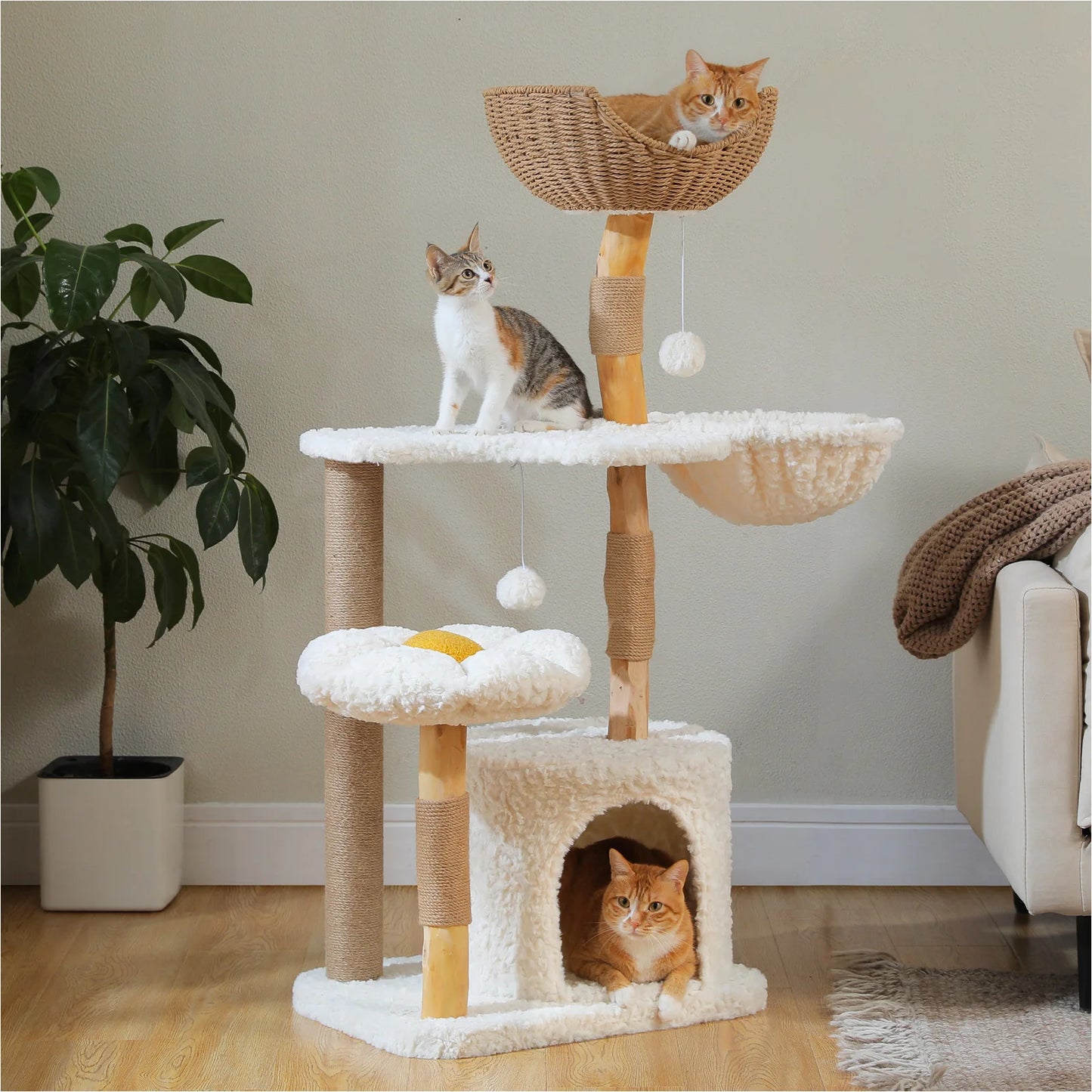 Arbre à Chat de Luxe en Bois Massif – Design Élégant, Confort Suprême et Stabilité Inégalée | All For Pe