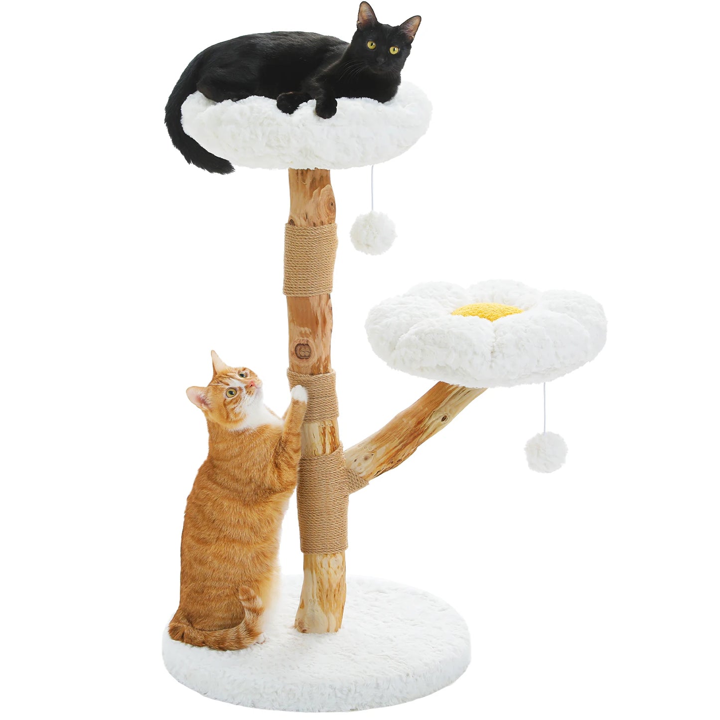 Arbre à Chat de Luxe en Bois Massif – Design Élégant, Confort Suprême et Stabilité Inégalée | All For Pe