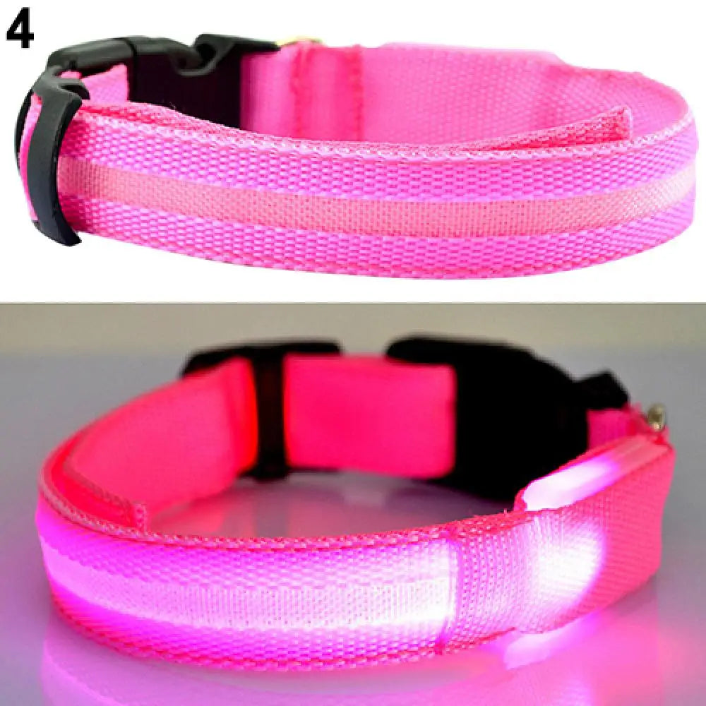 Collier Lumineux LED pour Chien et Chat – Sécurité Nocturne Réglable – 3 Modes de Flash – Étanche – Tailles S, M, L – Plusieurs Couleurs