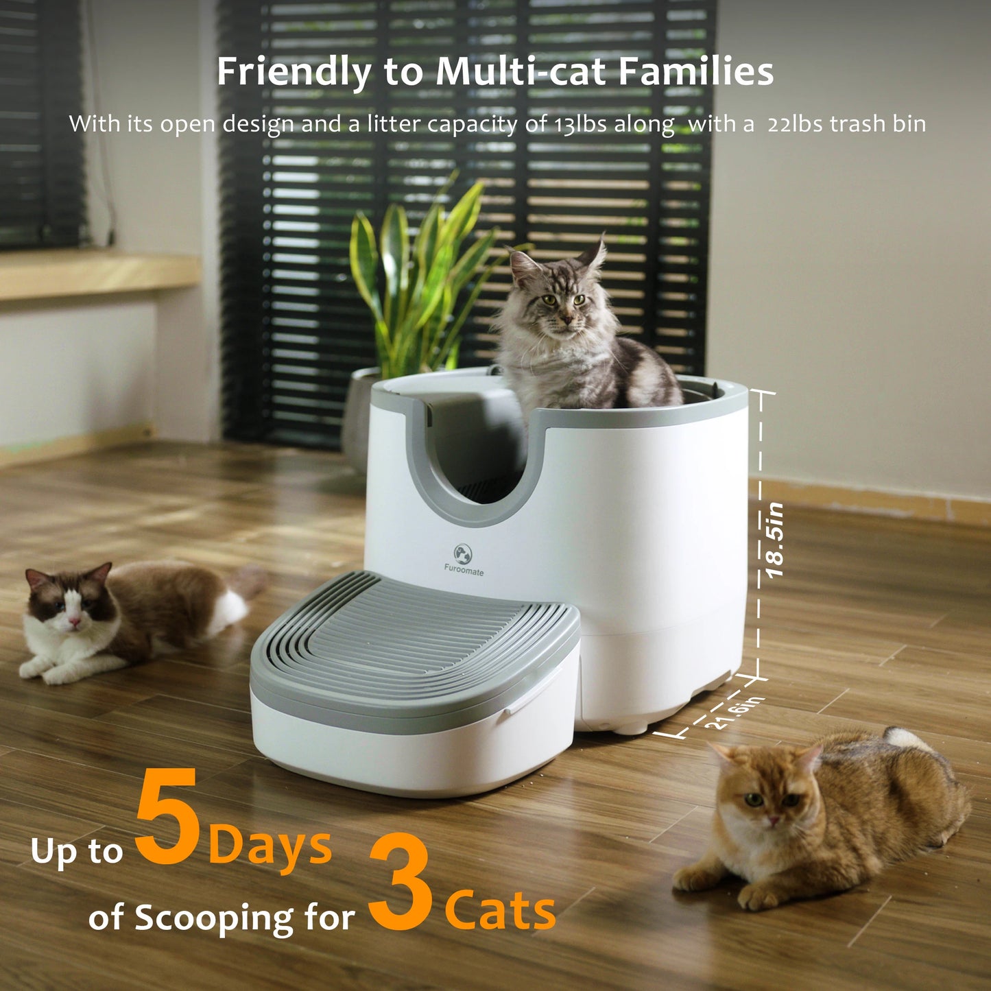 Bac à Litière Auto-Nettoyant pour Chats – Grande Capacité | Design Ouvert | Nettoyage Automatique & Capteurs Intelligents