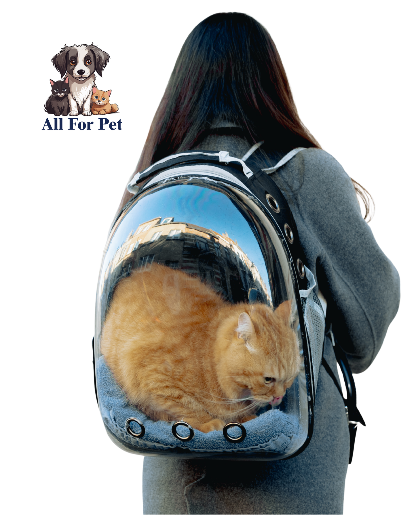 Sac à Dos Transparent pour Chat et Chien – Capsule Spatiale Respirante | Transport Confortable et Élégant
