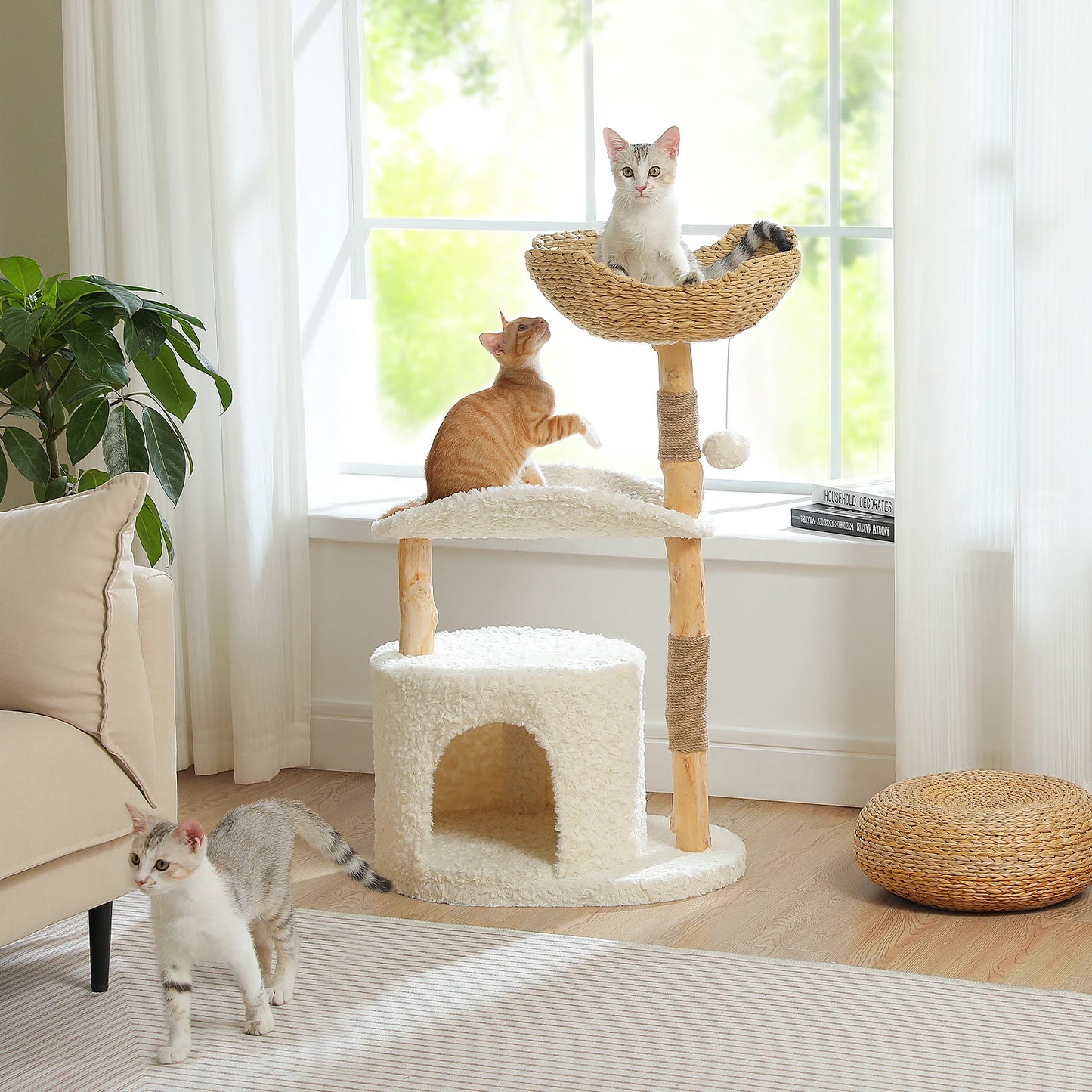 Arbre à Chat de Luxe en Bois Massif – Design Élégant, Confort Suprême et Stabilité Inégalée | All For Pe