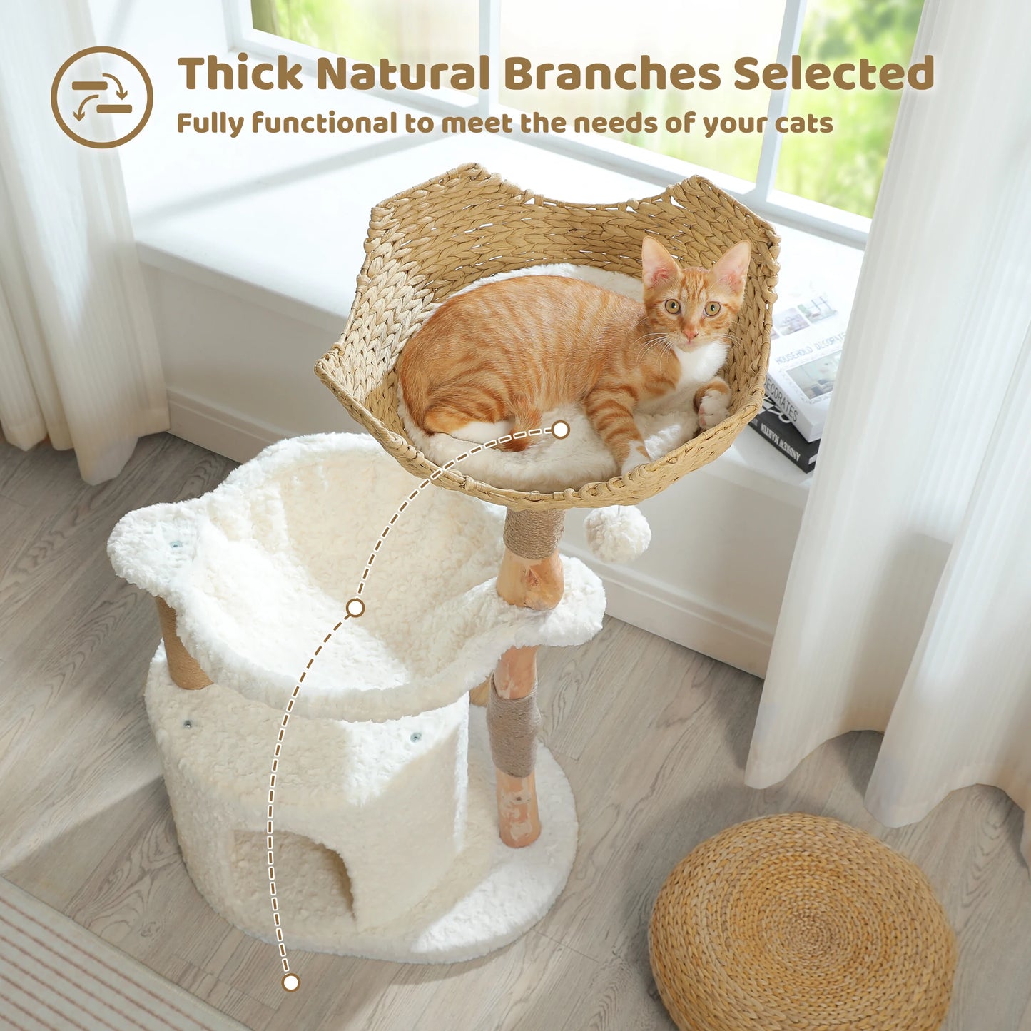 Arbre à Chat de Luxe en Bois Massif – Design Élégant, Confort Suprême et Stabilité Inégalée | All For Pe