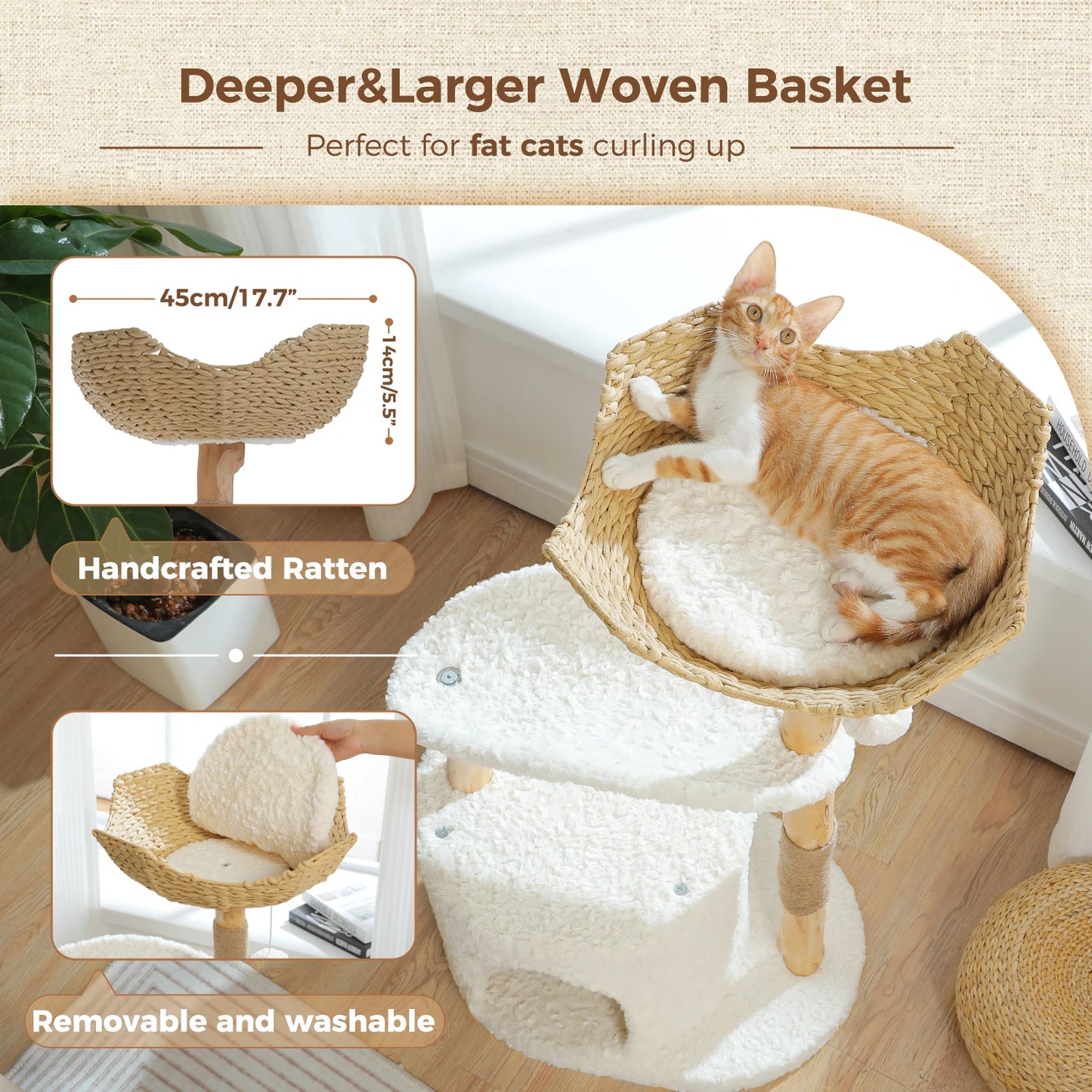 Arbre à Chat de Luxe en Bois Massif – Design Élégant, Confort Suprême et Stabilité Inégalée | All For Pe