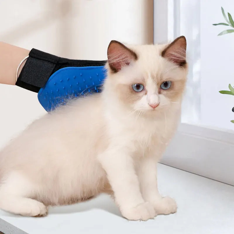 Gant de Toilettage en Silicone pour Chats et Chiens – Brosse de Massage Anti-Poils