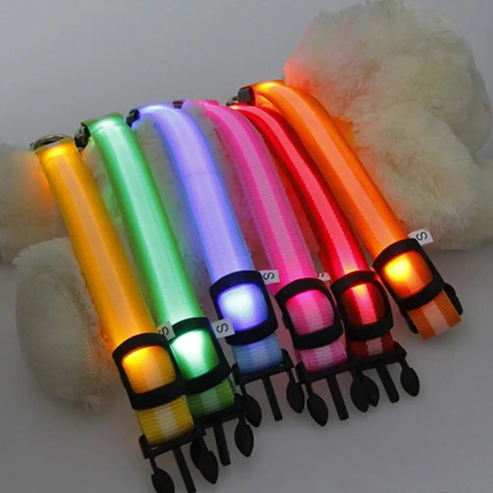 Collier Lumineux LED pour Chien et Chat – Sécurité Nocturne Réglable – 3 Modes de Flash – Étanche – Tailles S, M, L – Plusieurs Couleurs