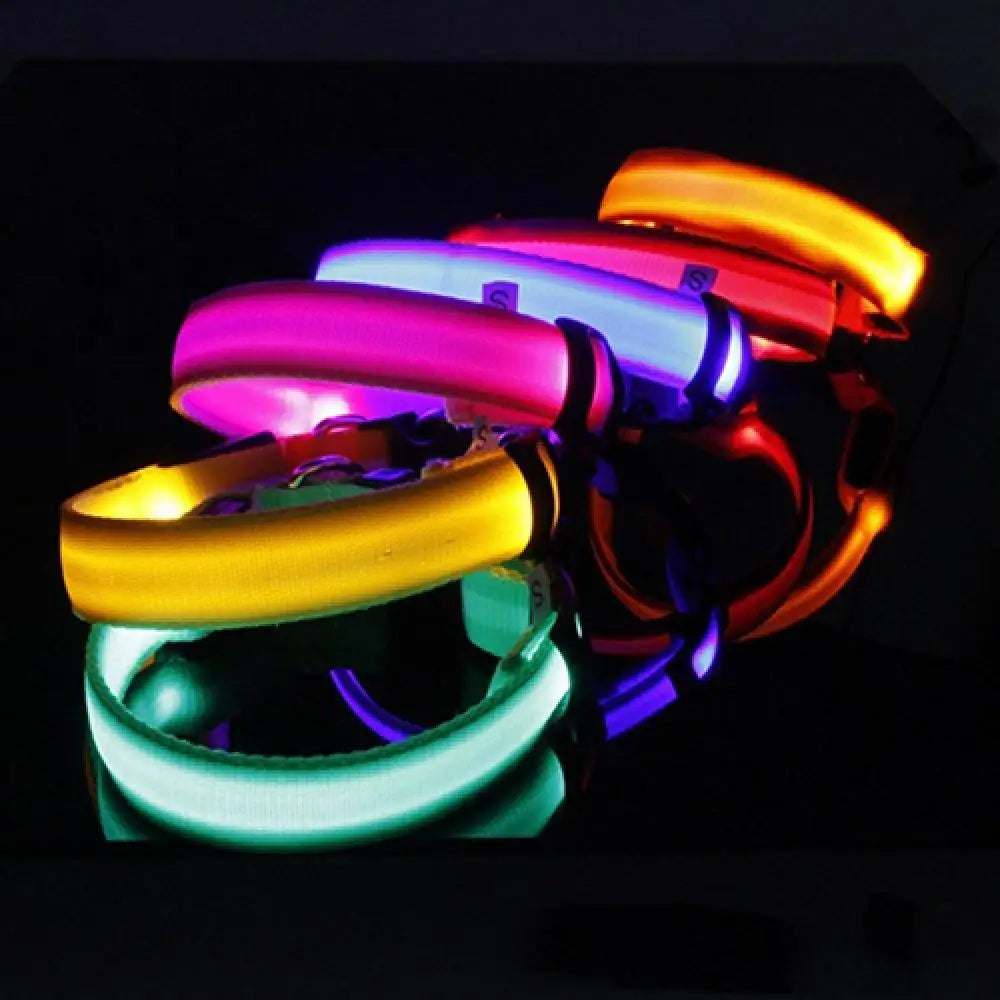 Collier Lumineux LED pour Chien et Chat – Sécurité Nocturne Réglable – 3 Modes de Flash – Étanche – Tailles S, M, L – Plusieurs Couleurs