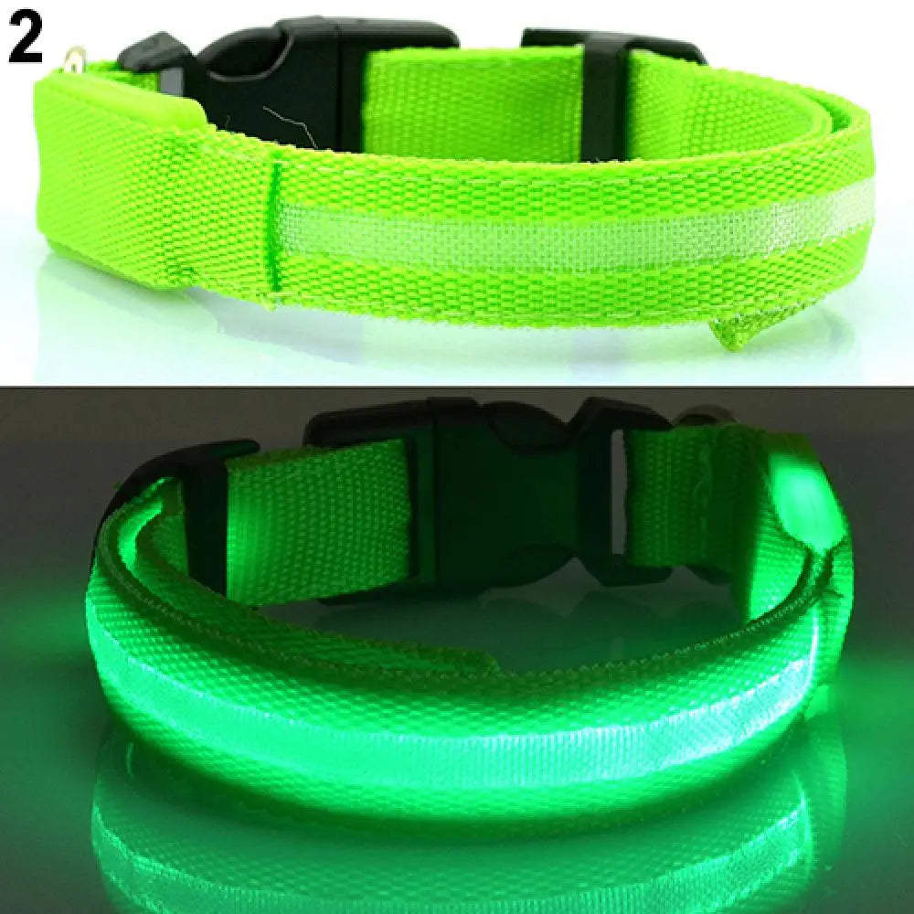 Collier Lumineux LED pour Chien et Chat – Sécurité Nocturne Réglable – 3 Modes de Flash – Étanche – Tailles S, M, L – Plusieurs Couleurs
