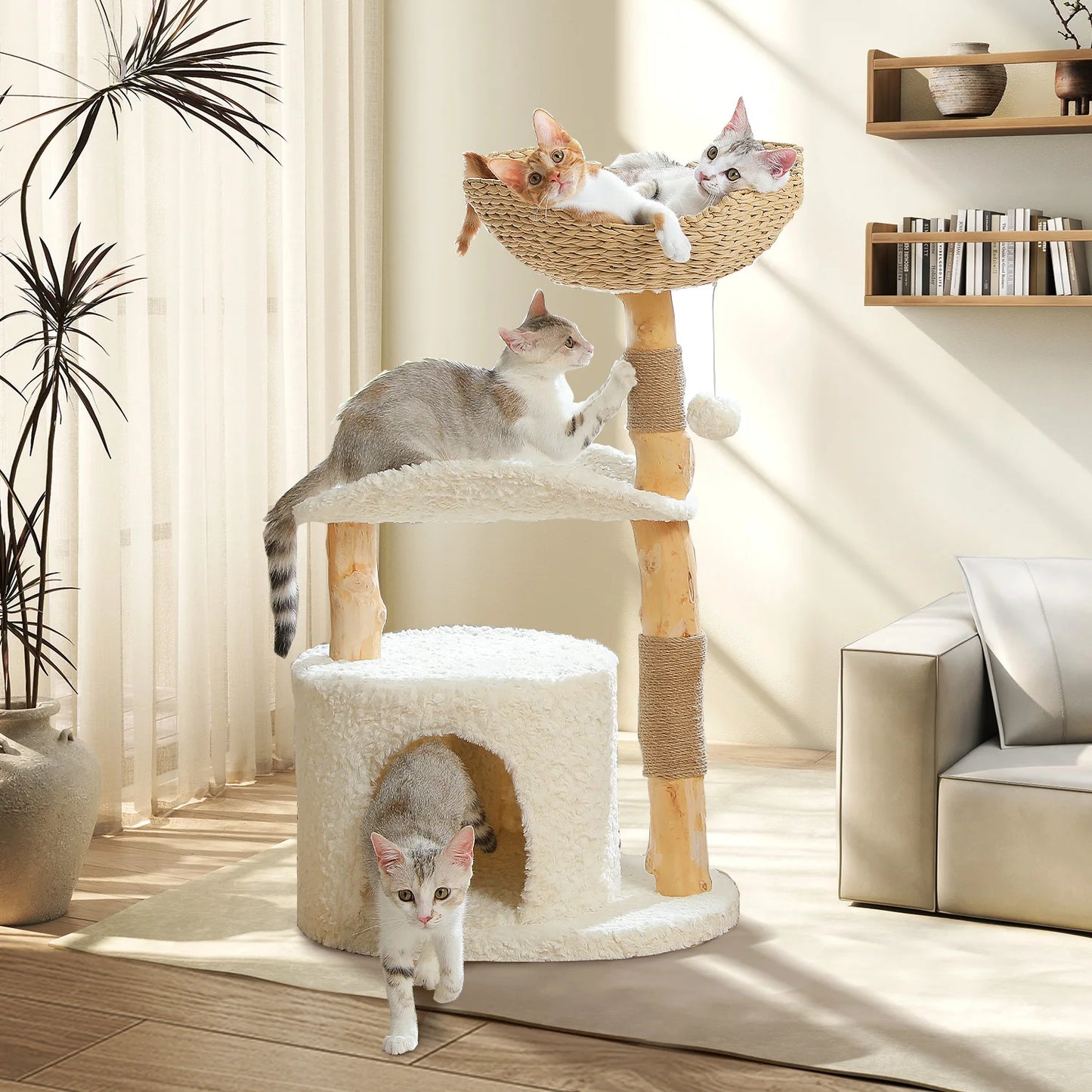 Arbre à Chat de Luxe en Bois Massif – Design Élégant, Confort Suprême et Stabilité Inégalée | All For Pe