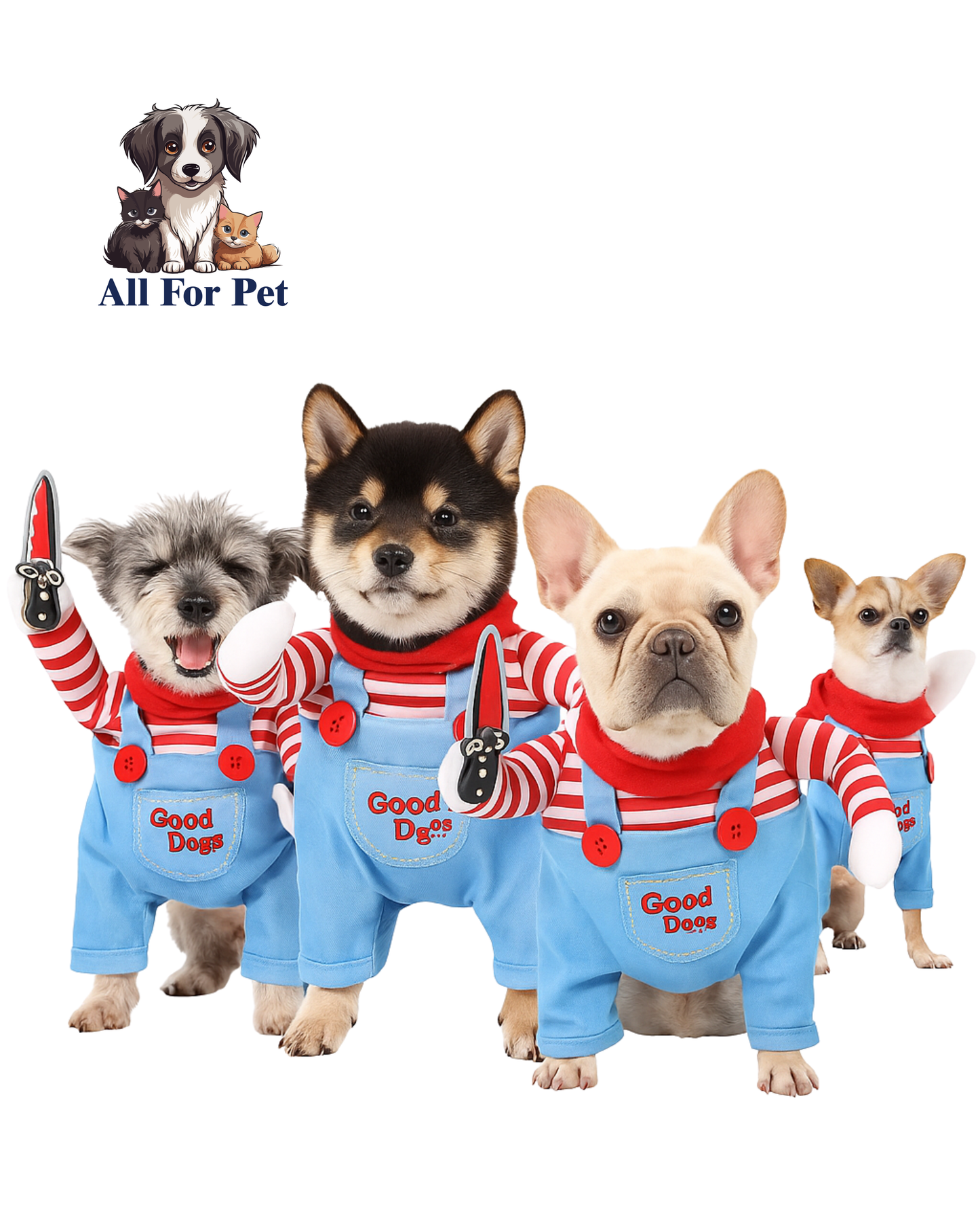 Le costume d’Halloween le plus drôle et irrésistible pour votre chien ou chat est arrivé !