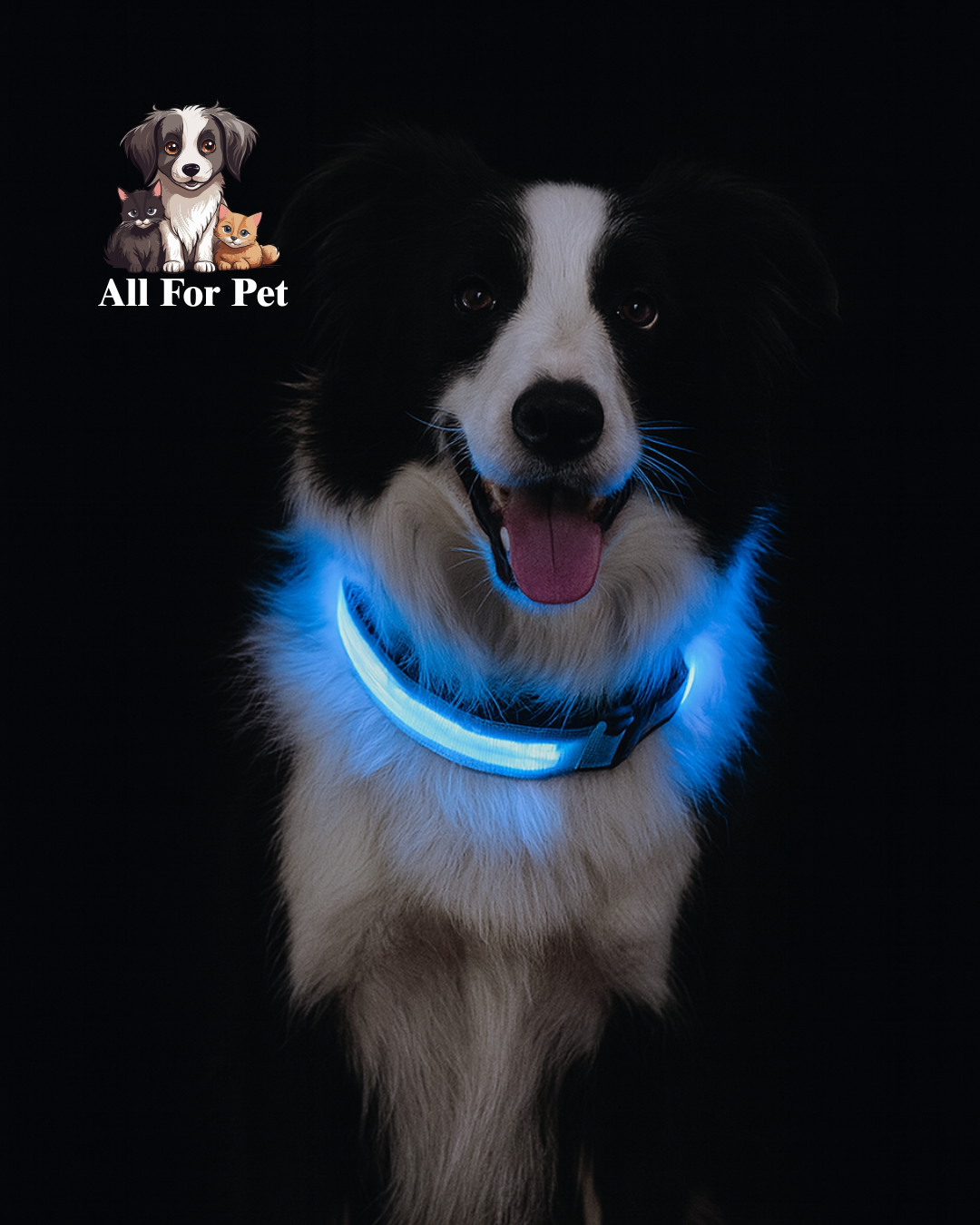 Collier Lumineux LED pour Chien et Chat – Sécurité Nocturne Réglable – 3 Modes de Flash – Étanche – Tailles S, M, L – Plusieurs Couleurs