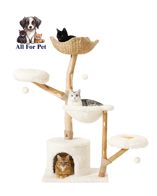 Arbre à Chat de Luxe en Bois Massif – Design Élégant, Confort Suprême et Stabilité Inégalée | All For Pe