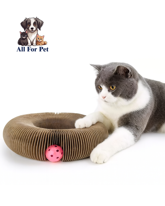 Griffoir Chat Pliable en Carton Ondulé – Jouet Interactif avec Balle – Modulable, Résistant et Écologique