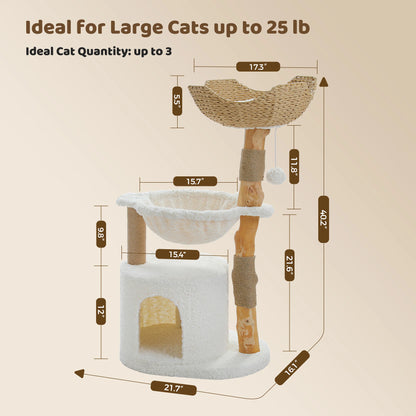 Arbre à Chat de Luxe en Bois Massif – Design Élégant, Confort Suprême et Stabilité Inégalée | All For Pe
