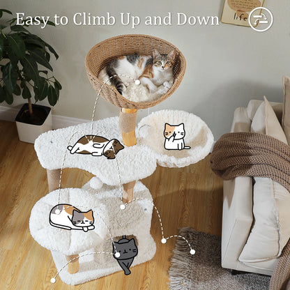 Arbre à Chat de Luxe en Bois Massif – Design Élégant, Confort Suprême et Stabilité Inégalée | All For Pe