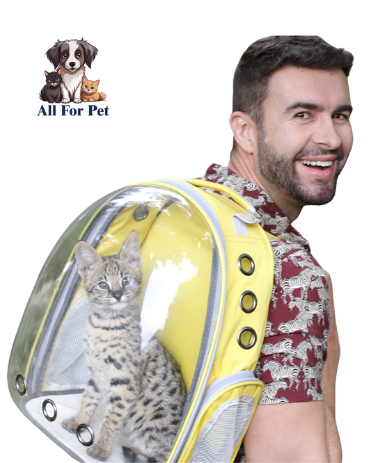 Sac à Dos Transparent pour Chat et Chien – Capsule Spatiale Respirante | Transport Confortable et Élégant
