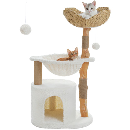 Arbre à Chat de Luxe en Bois Massif – Design Élégant, Confort Suprême et Stabilité Inégalée | All For Pe