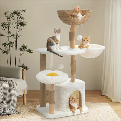 Arbre à Chat de Luxe en Bois Massif – Design Élégant, Confort Suprême et Stabilité Inégalée | All For Pe