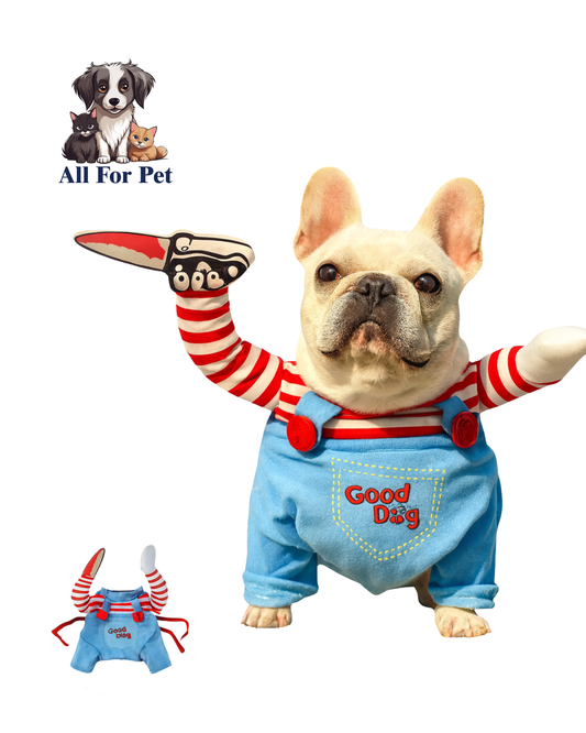 Le costume d’Halloween le plus drôle et irrésistible pour votre chien ou chat est arrivé !