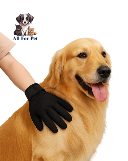 Gant de Toilettage en Silicone pour Chats et Chiens – Brosse de Massage Anti-Poils